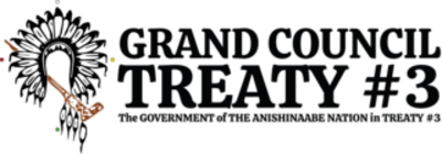 Grand Council Treaty 3