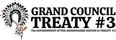 Grand Council Treaty 3