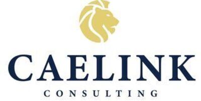 Caelink Consulting